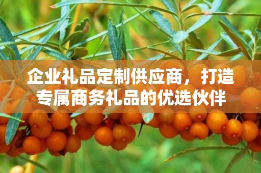 企业礼品定制供应商，打造专属商务礼品的优选伙伴